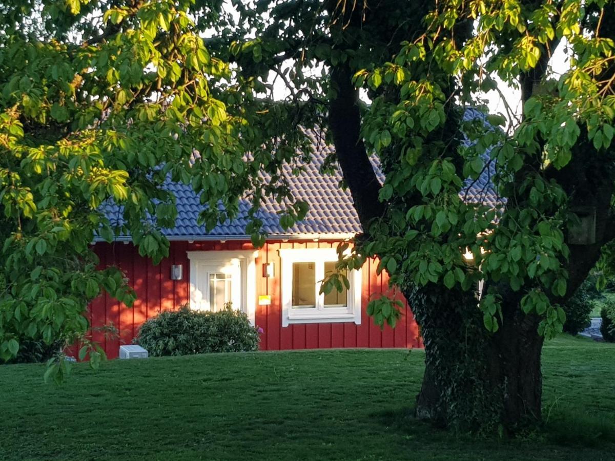Ferienhaus Loeh Kleinmaischeid Exterior photo